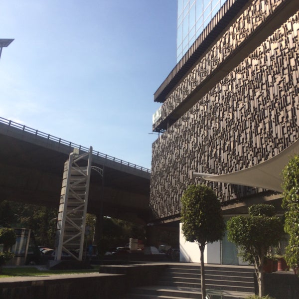 Fotos en Torre del árbol Polanco