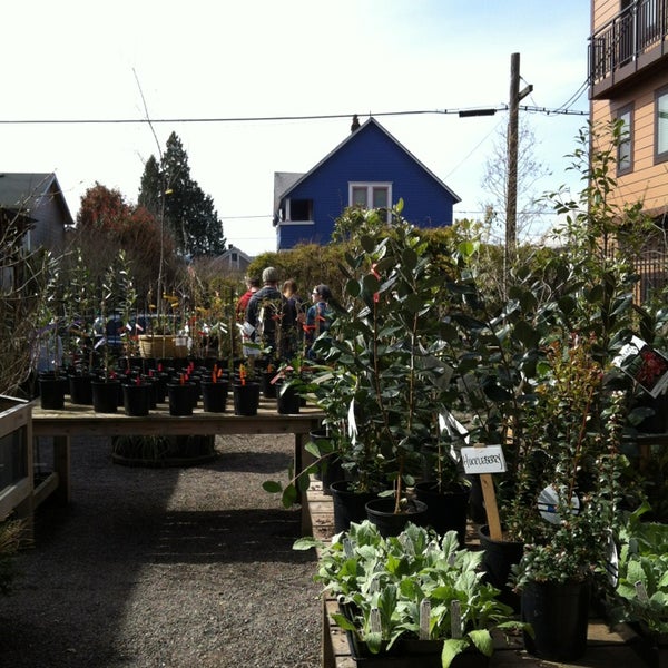 Pistils Nursery Flower Shops