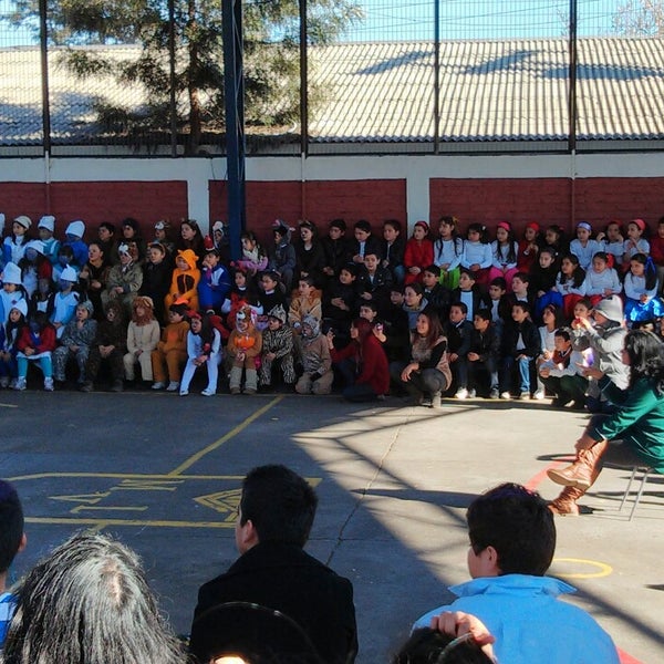 Colegio Manuel Vicuña Larraín Escuela primaria en La Florida