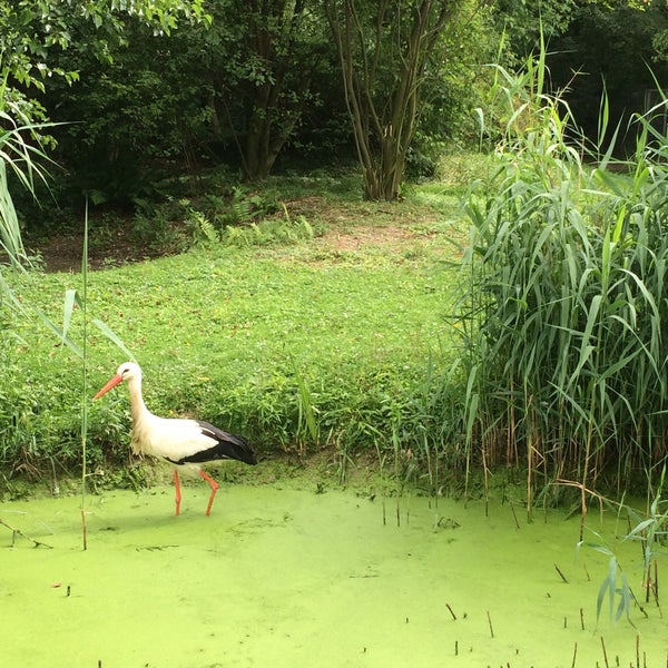 Wildpark Reuschenberg Zoo in Leverkusen