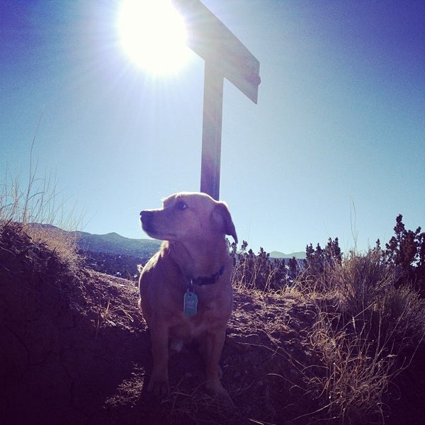 12/28/2013にSarah L.がFour Seasons Resort Rancho Encantado Santa Feで撮った写真