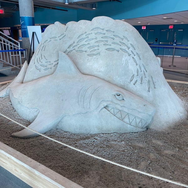 Photo taken at Clearwater Marine Aquarium by Jill D. on 2/8/2021