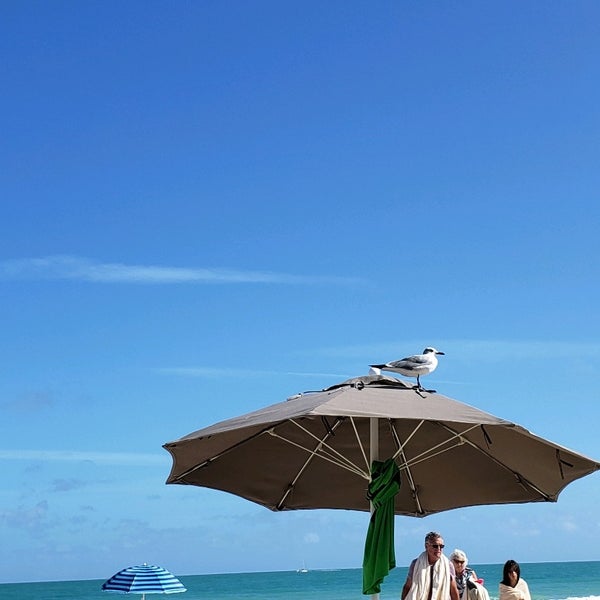Beach Plaza Miami
