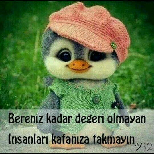 Anlamli Sozler Profil Fotograflari Ile Ilgili Gorsel Sonucu Ozlu Sozler Guzel Soz Hoslanma Sozleri