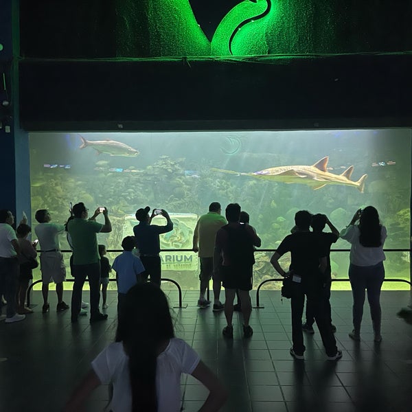 Foto diambil di Acuario de Veracruz oleh ETH pada 11/4/2023