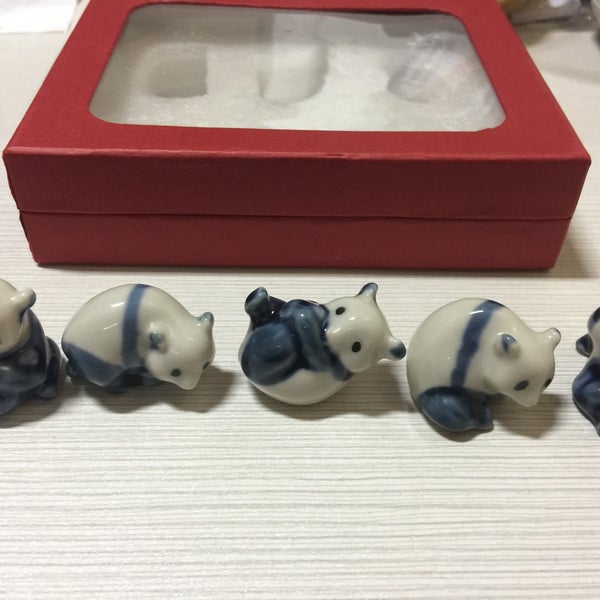 sash small animal hospital