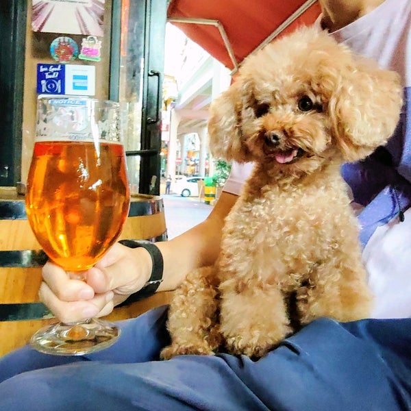 Hong Kong Island Taphouse North Point 7 tips