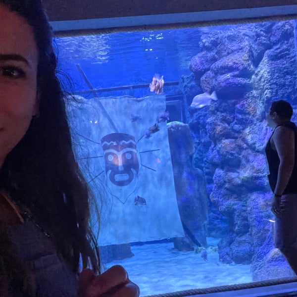 8/13/2022 tarihinde Tuğba E.ziyaretçi tarafından Funtastic Aquarium İzmir'de çekilen fotoğraf