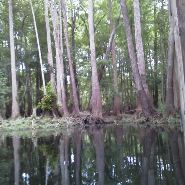 Blue Springs of Saula