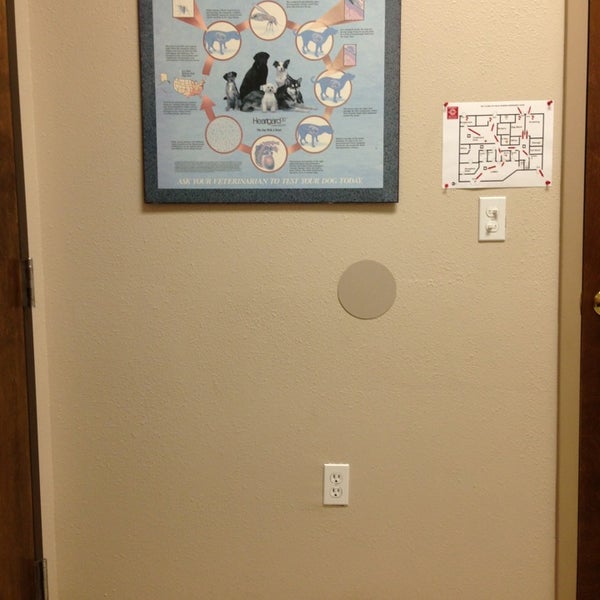 Vet Clinic of Palm Harbor Palm Harbor, FL