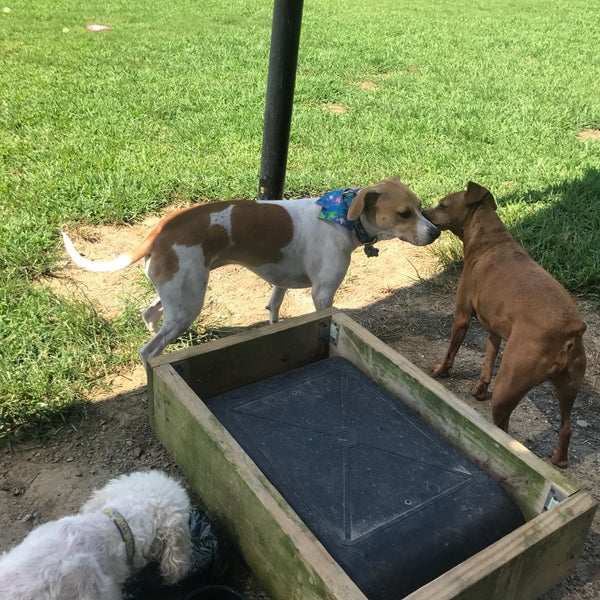 Sandy Springs Dog Park 3 tips from 156 visitors