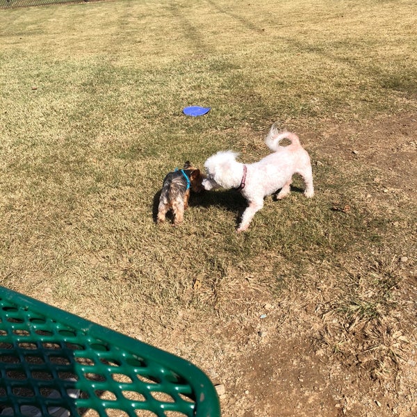 Sandy Springs Dog Park 3 tips from 156 visitors