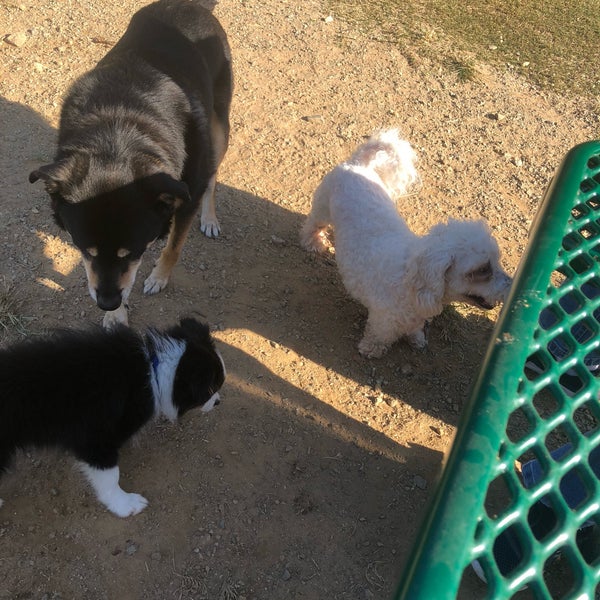 Sandy Springs Dog Park 3 tips from 156 visitors