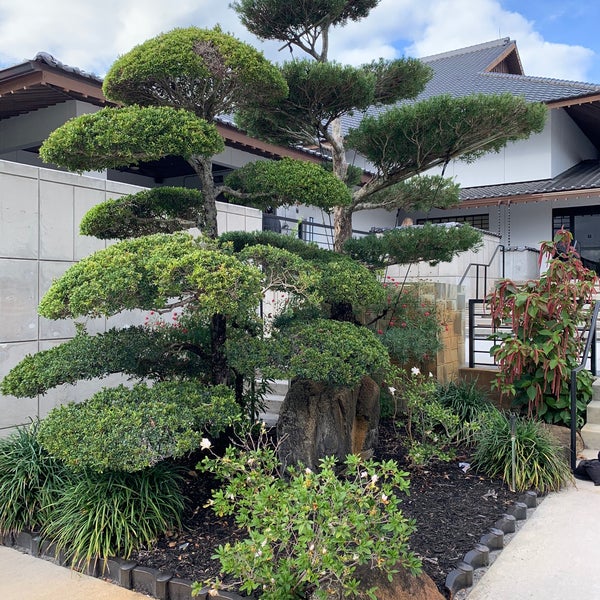 Photo taken at Morikami Museum And Japanese Gardens by Steven on 3/7/2020