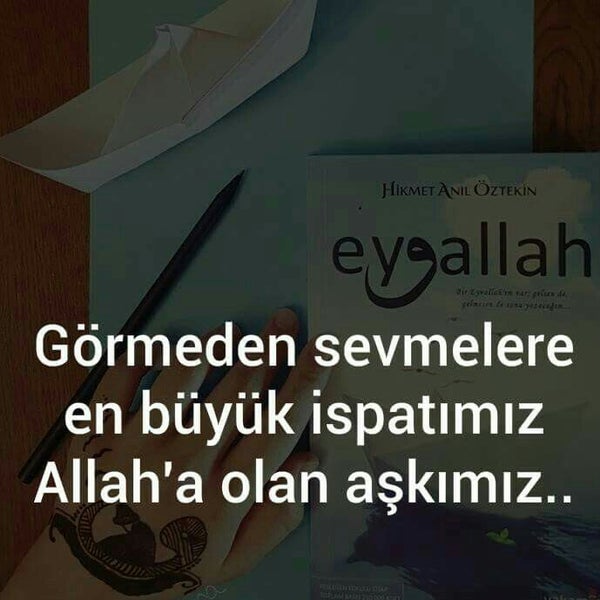 Tunc Hali Ve Ev Tekstili Hali Magazasi
