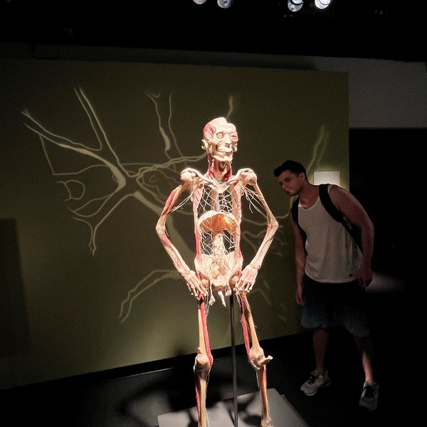 Photo taken at BODIES...The Exhibition by Gabriel C. on 8/24/2022