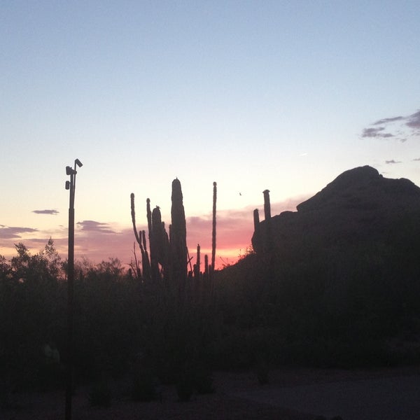 Foto scattata a Desert Botanical Garden da Andy M. il 5/11/2013