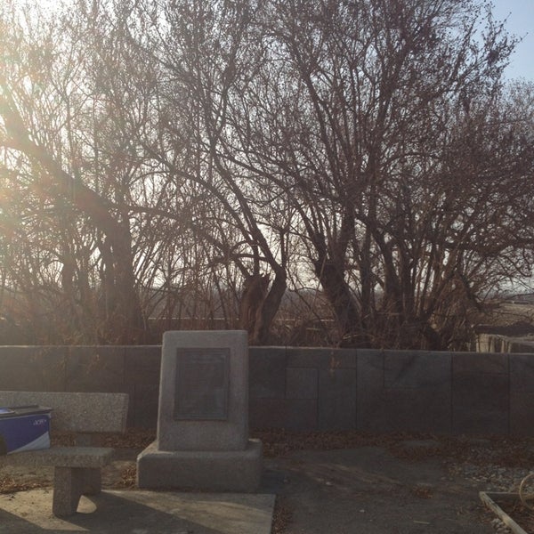 Buttonwilllow Tree Historic Marker 501599 Buttonwillow Dr