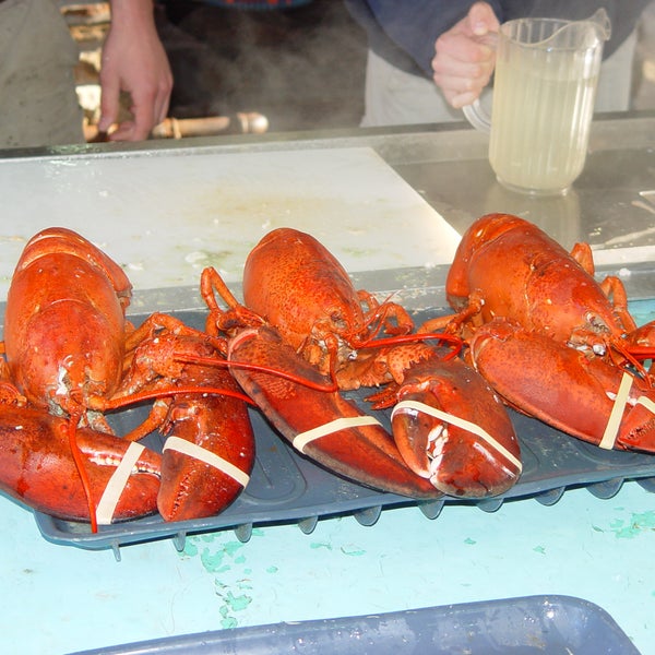 6/9/2015 tarihinde Ogunquit Lobster Pound Restaurantziyaretçi tarafından Ogunquit Lobster Pound Restaurant'de çekilen fotoğraf