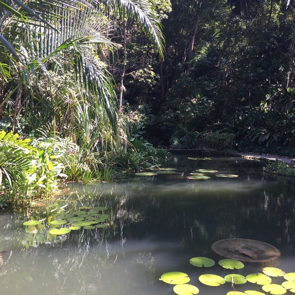 2/8/2018 tarihinde Yasser M.ziyaretçi tarafından Tropical Spice Garden'de çekilen fotoğraf