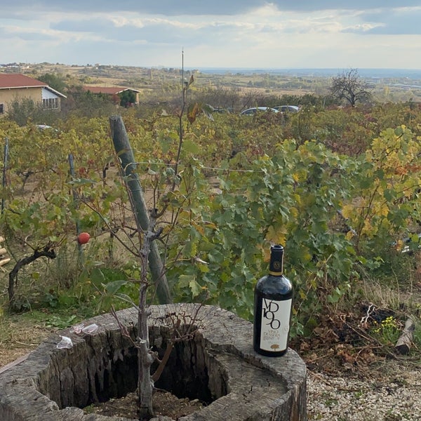 Foto scattata a Vino Dessera Vineyards da 🌙bike il 10/30/2021