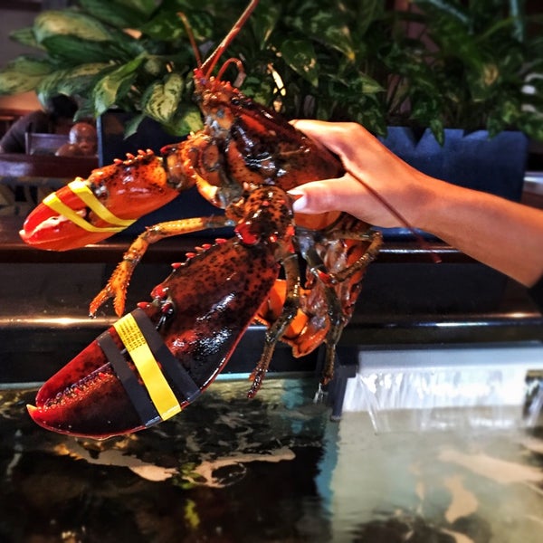 Foto scattata a Red Lobster da Haroldo F. il 10/18/2014