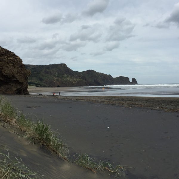 Bethells Beach the Wilds