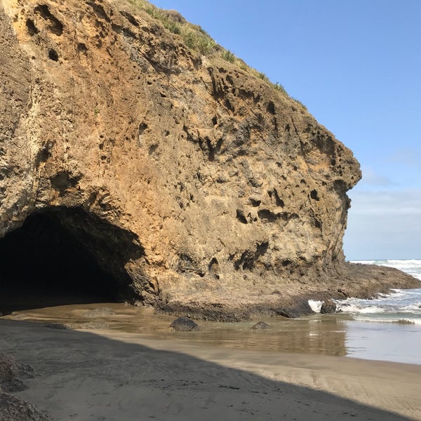 Bethells Beach the Wilds