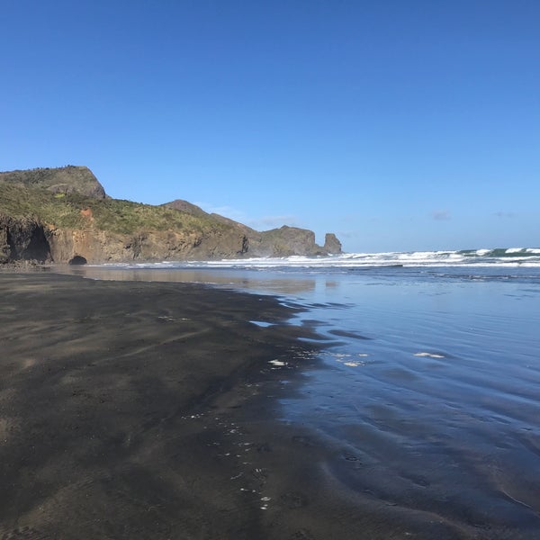 Bethells Beach the Wilds