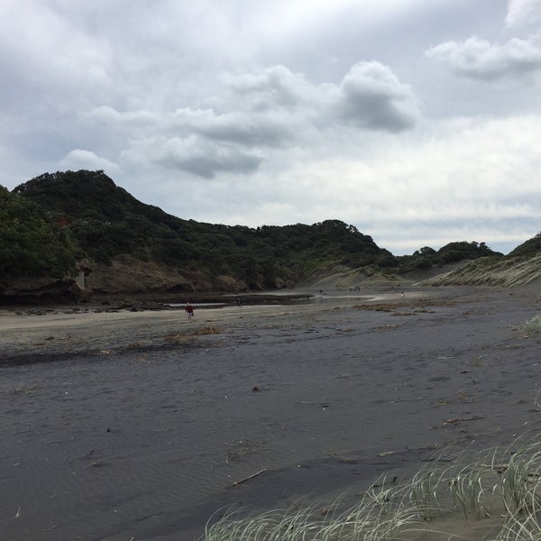 Bethells Beach the Wilds