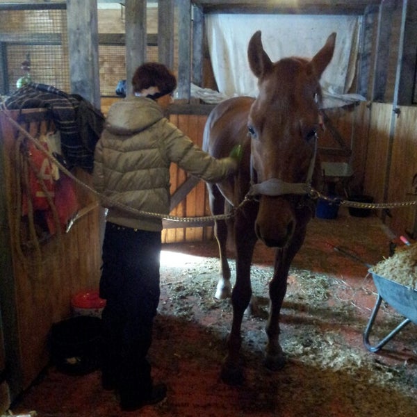 мария куприянова инстаграм москва. вероника московская. школа кск заповедный санкт петербург. кск пегас спб. школа кск заповедный санкт петербург.