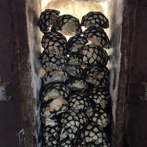 1/5/2019 tarihinde BNGI R.ziyaretçi tarafından Destileria &quot;Tequila Cascahuin&quot;'de çekilen fotoğraf