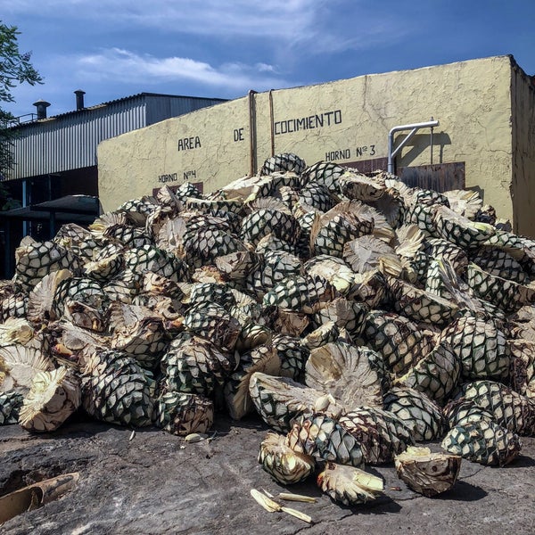 5/15/2018 tarihinde BNGI R.ziyaretçi tarafından Destileria &quot;Tequila Cascahuin&quot;'de çekilen fotoğraf