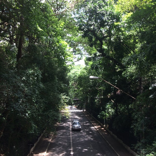 Parque Tenente Siqueira Campos (Trianon) Avenida Paulista São Paulo, SP