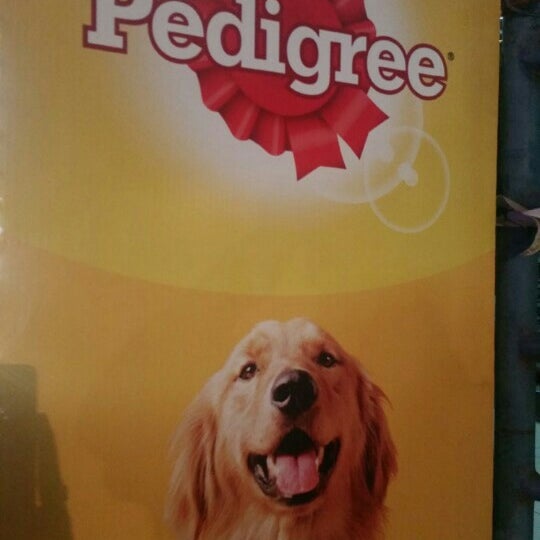 maruthi pet care centre