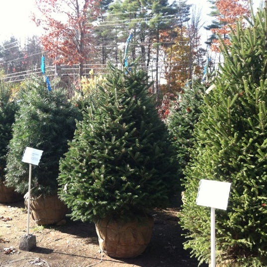 Pawtuckaway Nursery 250280 New Hampshire 125