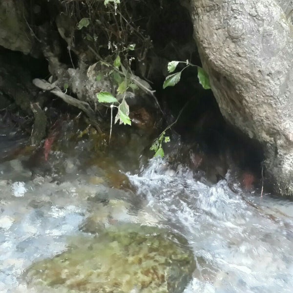 Ca ne. Эмблема grupul 5 vanatoare. 9 19. Линар гирфанов стерлитамак. Ca ne.