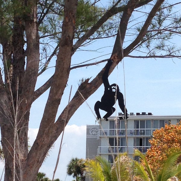 Photo taken at Toasted Monkey Beach Bar by SPike on 4/27/2013