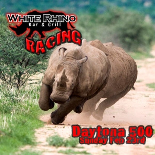 รูปภาพถ่ายที่ White Rhino โดย Ryan G. เมื่อ 2/21/2014