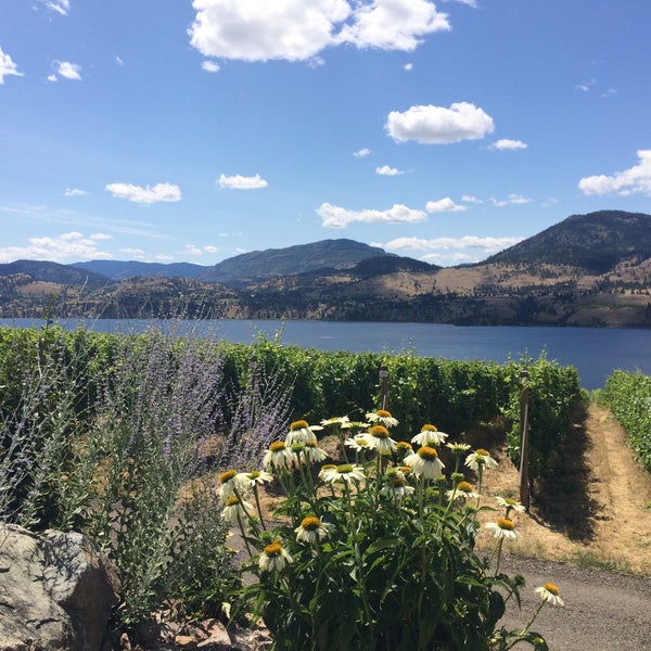 Beautiful views and fabulous wine .. get yourself an extra pour of the Syrah or red icon and sit outside to take in the beauty of their location !