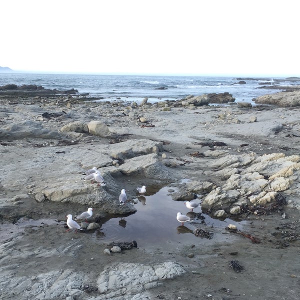 Peninsula Seal Colony and Walkway 1 tip from 70 visitors