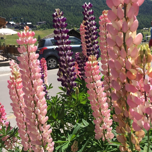 Photo taken at Livigno by viola on 7/16/2019