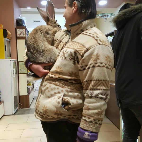 caleçon picture moumoute