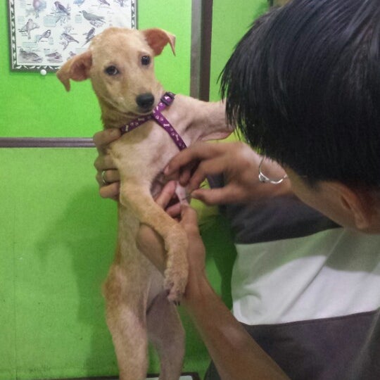 Dr G Animal Clinic Bacoor Cavite