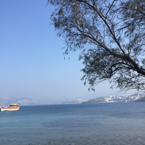 Das Foto wurde bei Dodo Beach Club von Zhide T. am 10/20/2019 aufgenommen