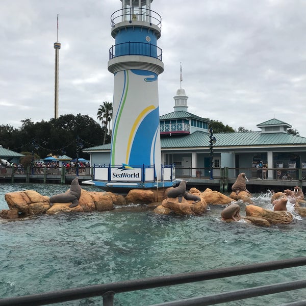 Photo taken at SeaWorld Orlando by Roberto G. on 1/2/2019
