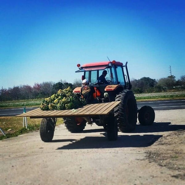 County Line Produce 9260 State Road 207