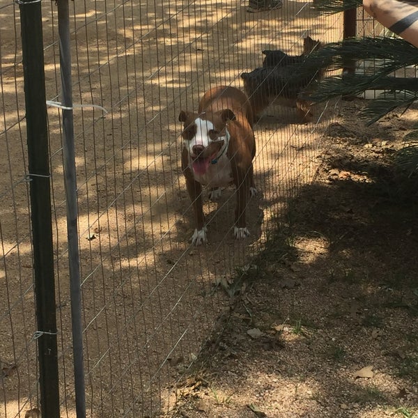 Photo taken at Dog House Drinkery Dog Park by Ben M. on 6/11/2016