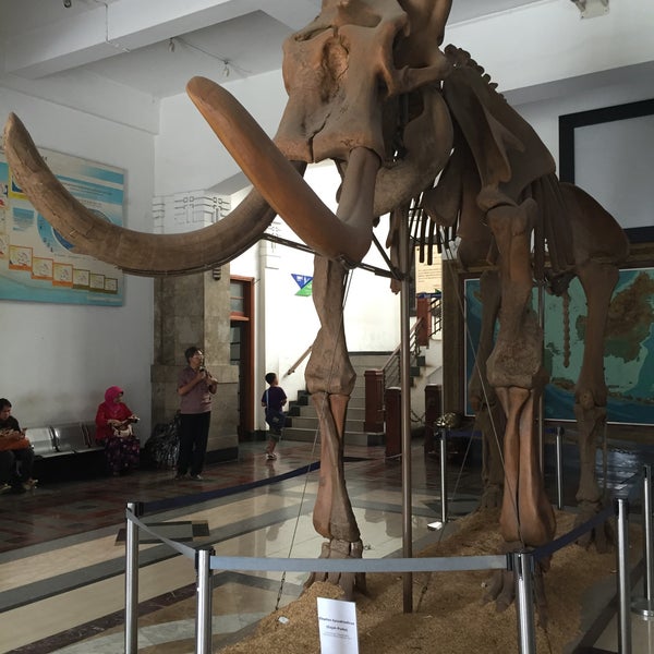 Foto diambil di Museum Geologi oleh Wisnu W. pada 1/5/2016
