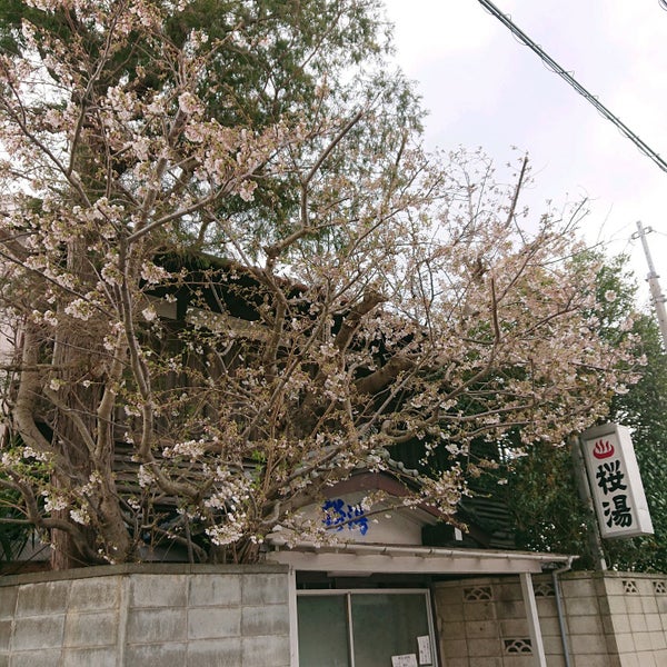 桜湯 茂原市 茂原市 千葉県